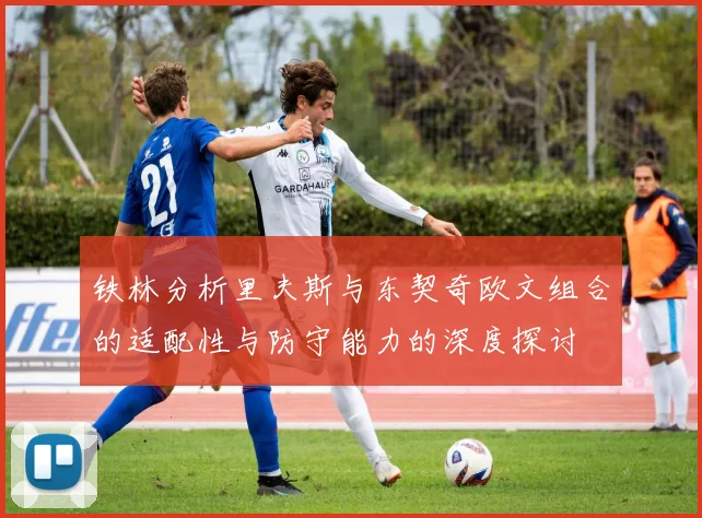 铁林分析里夫斯与东契奇欧文组合的适配性与防守能力的深度探讨